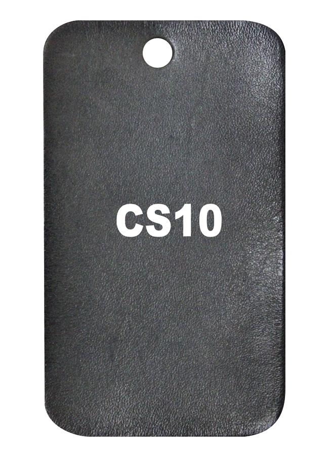 Patina CS10