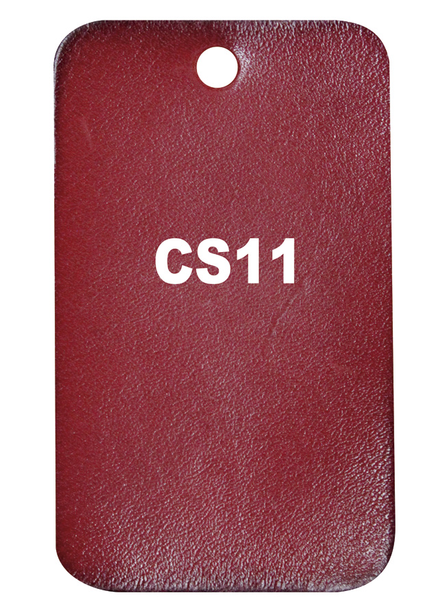 Patina CS11