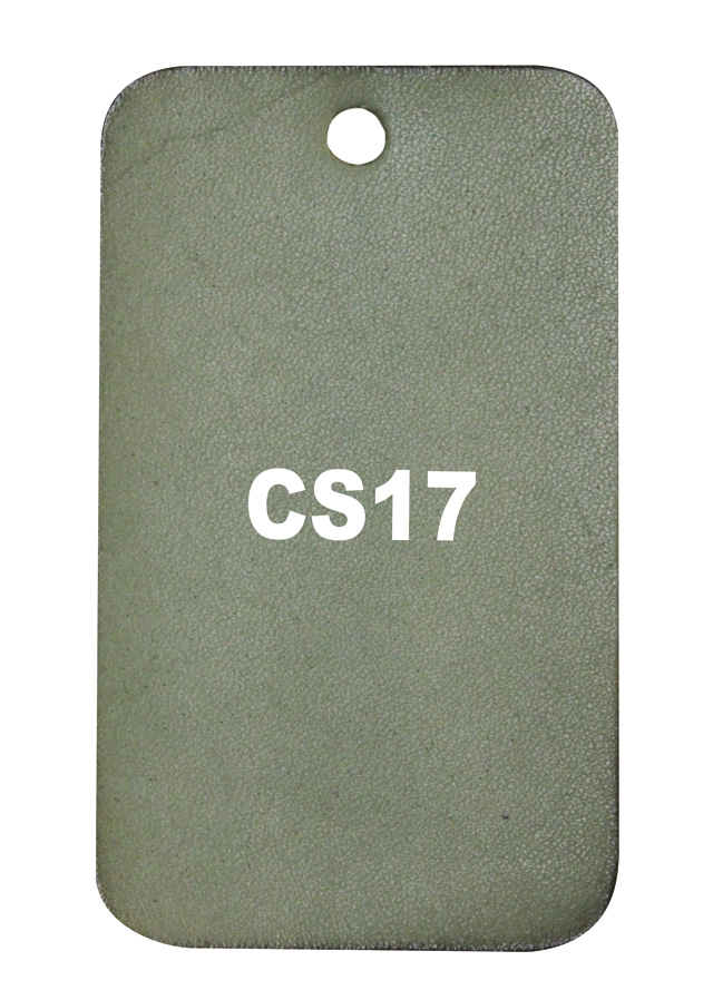 Patina CS17
