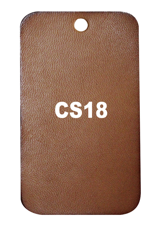 Patina CS18