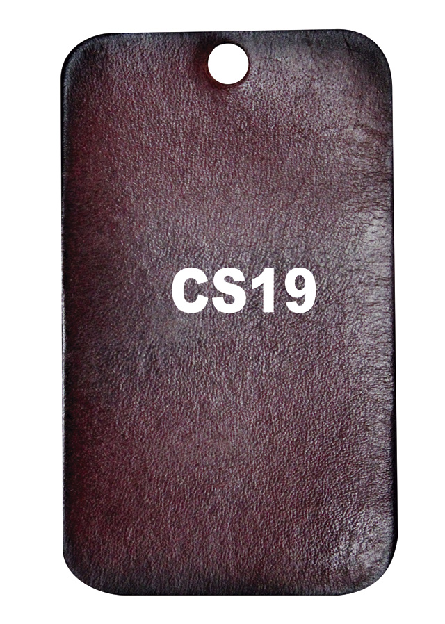 Patina CS19