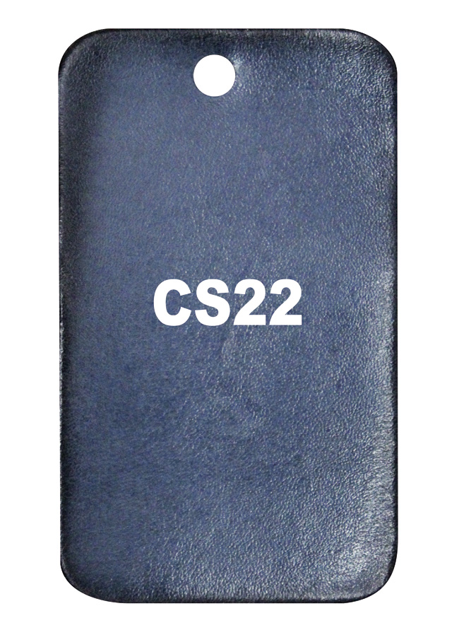 Patina CS22