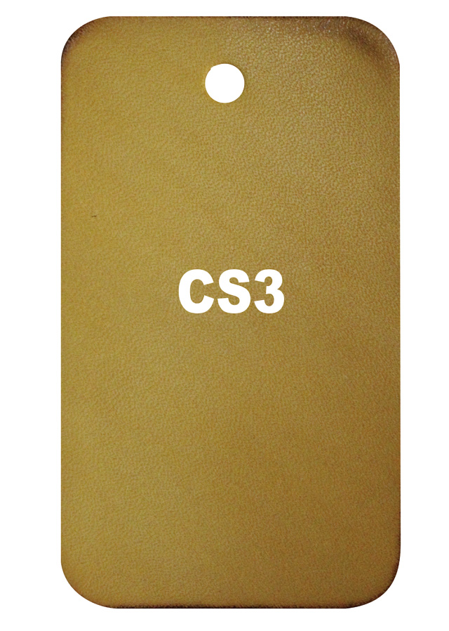 Patina CS3