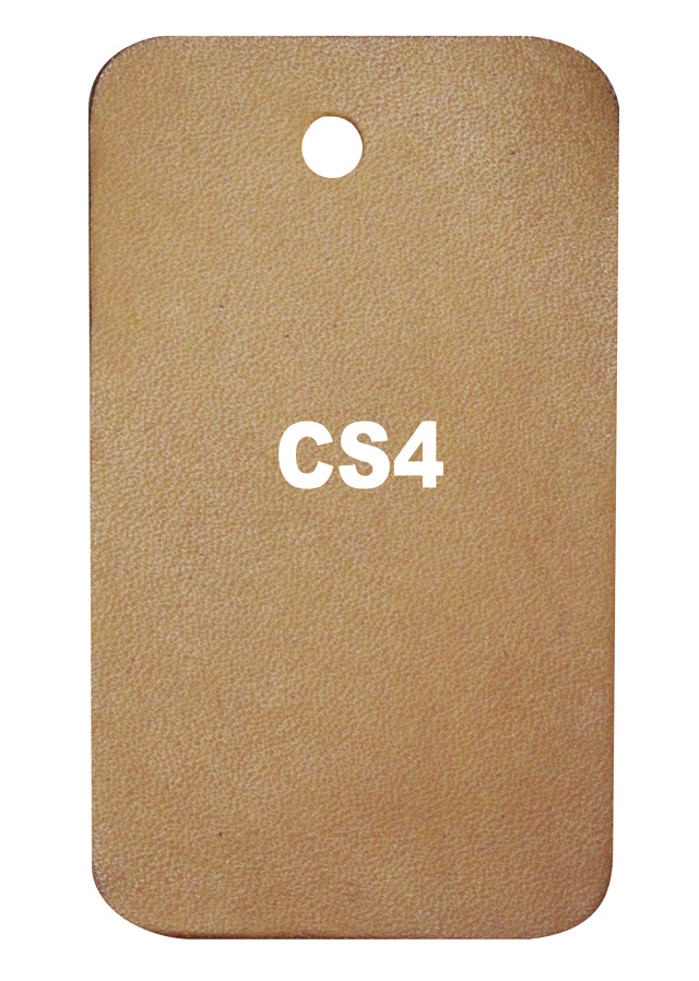 Patina CS4