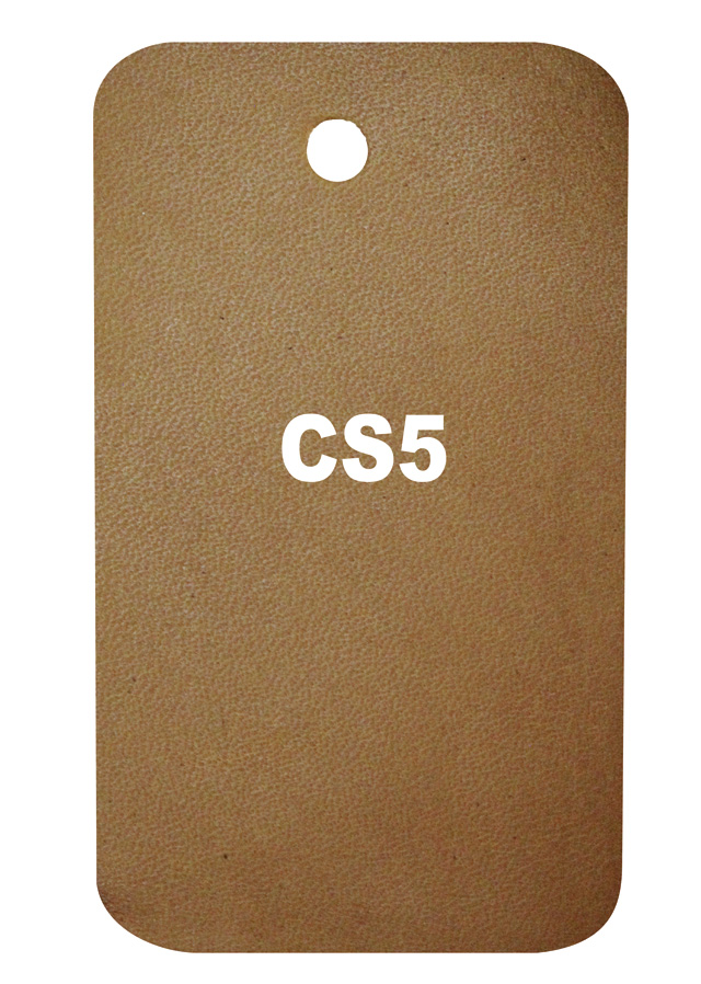 Patina CS5