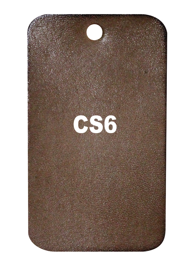 Patina CS6