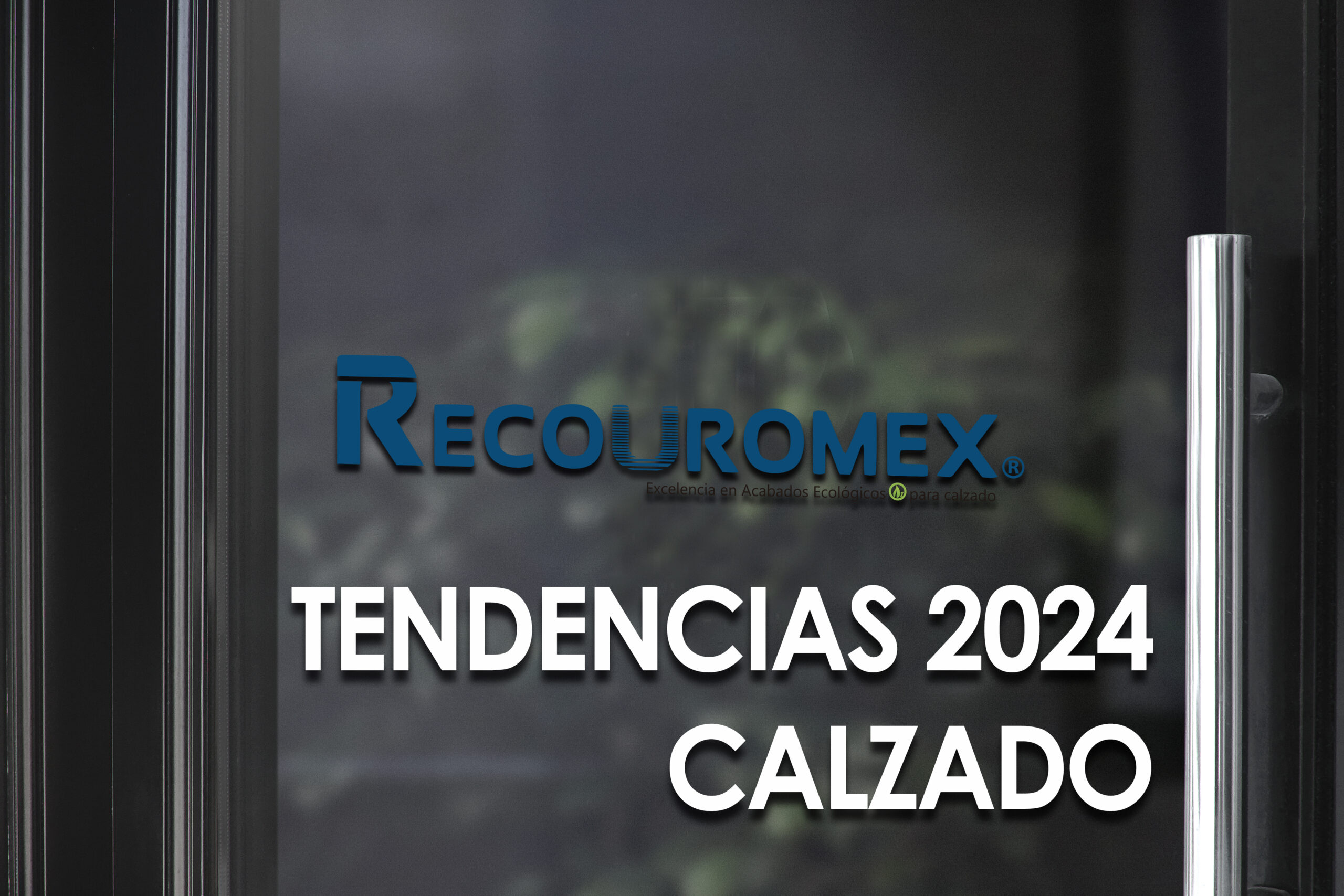 TENDENCIAS EN CALZADO 2024
