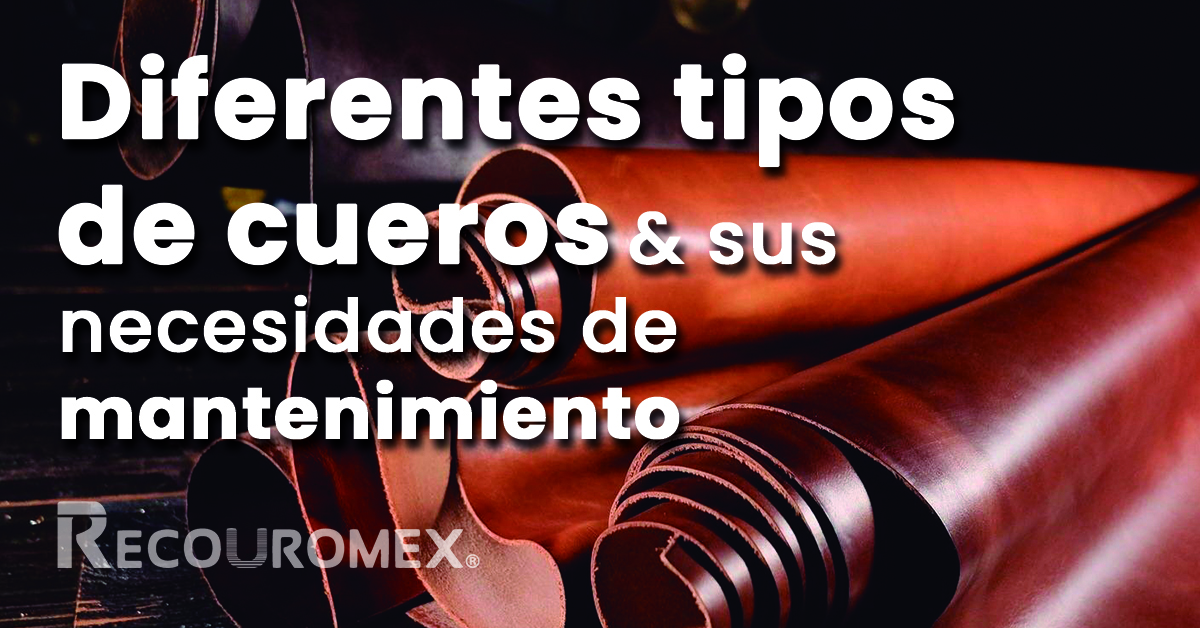 Diferentes Tipos de Cueros & Sus Necesidades de Mantenimiento.