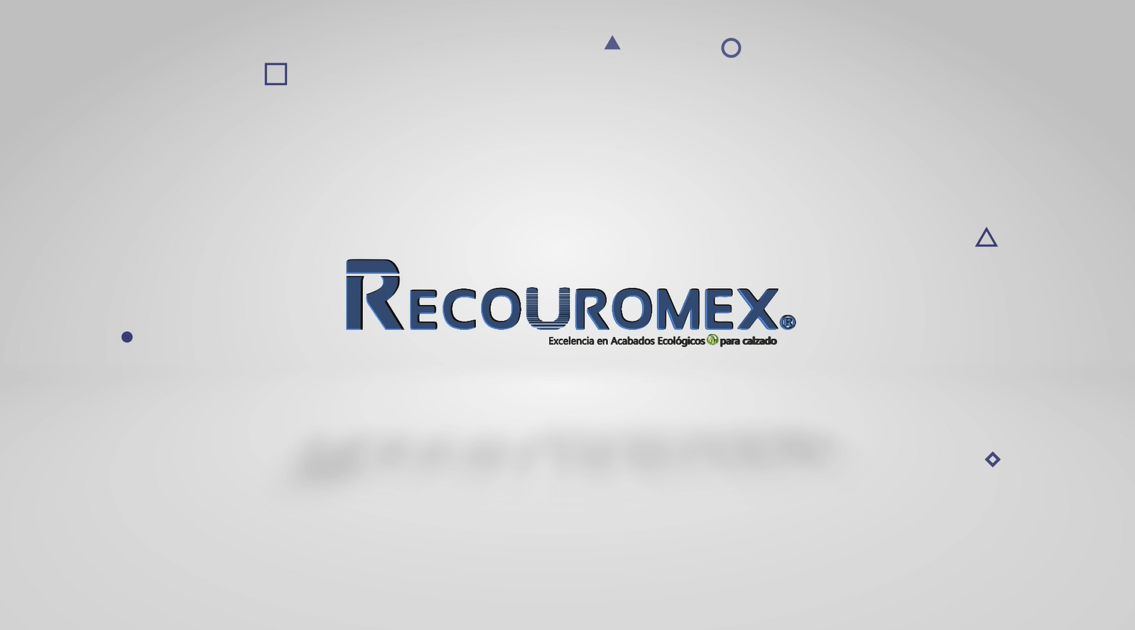 RECOUROMEX es calidad, innovación y prestigio